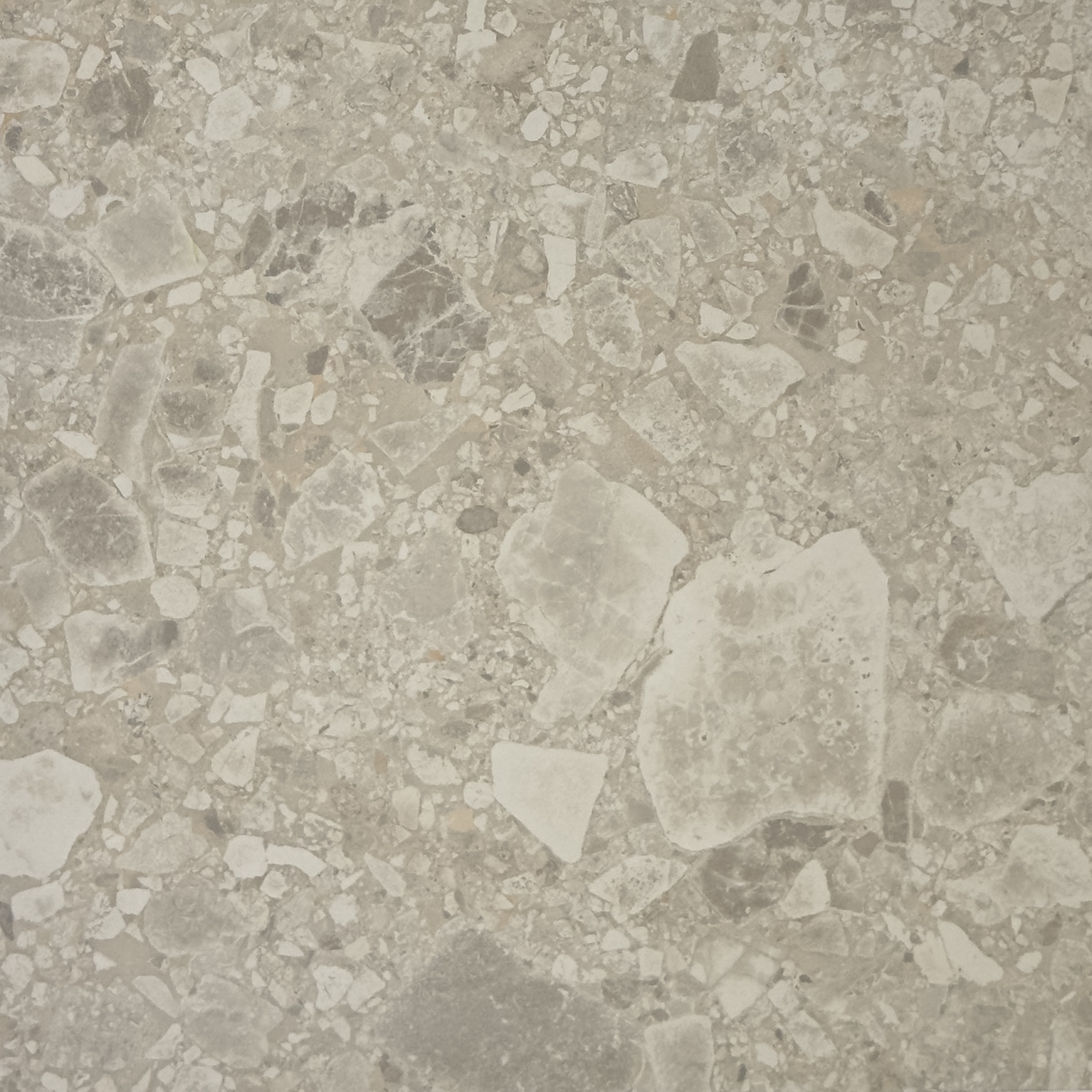 Studio Terrazzo Champagne